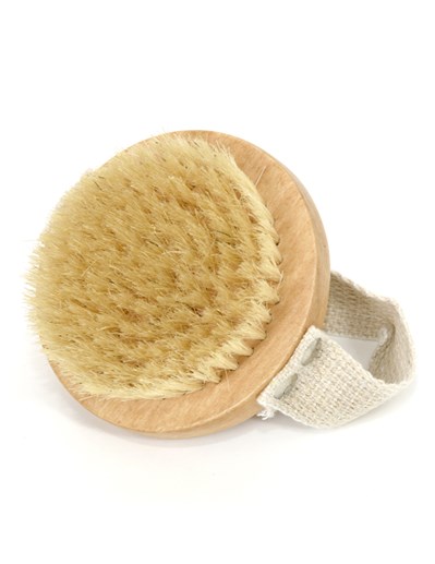 Hand-held body brush