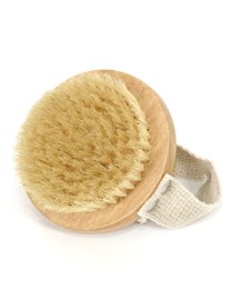 Hand-held body brush